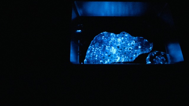 50D0D37B-7897-4D37-AF37-46781261AC6E.jpeg